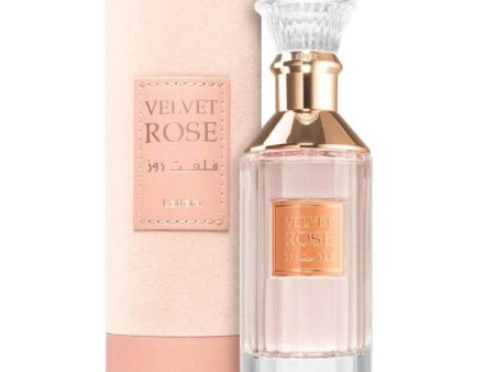 Velvet Rose 100ml EDP by Lattafa